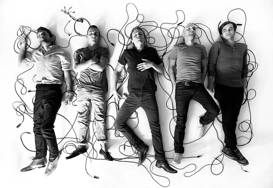White Rabbits